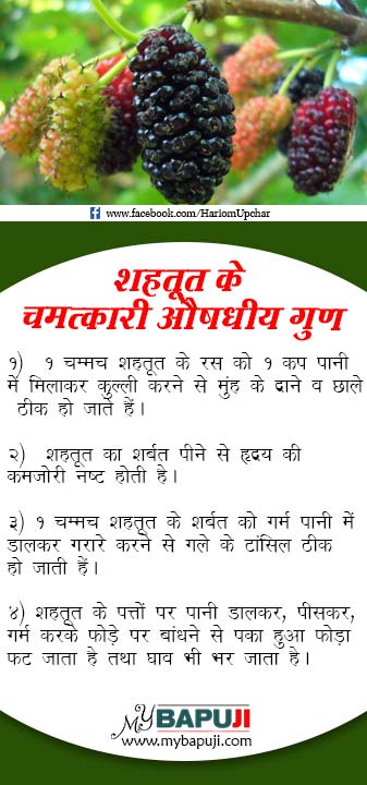 Health Tips in Hindi 91 Shahtoot Ke Aushadhi Gun - Health Tips in Hindi