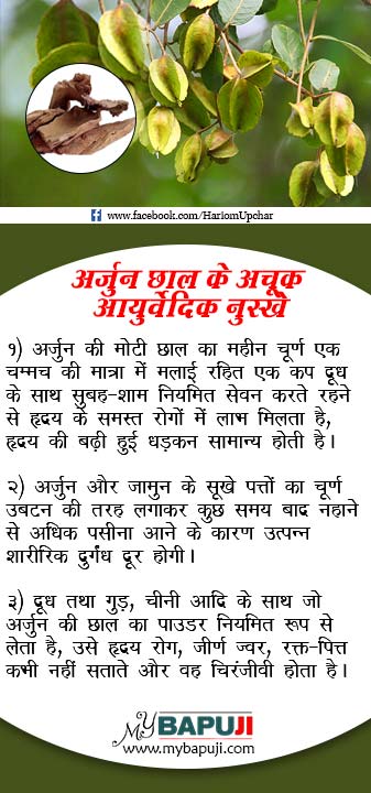 Health Tips in Hindi 92 Arjun Chal Ke Ayurvedic Nuskhe - Health Tips in Hindi